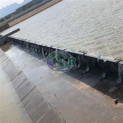 自動システム付き空気圧排水ゲート